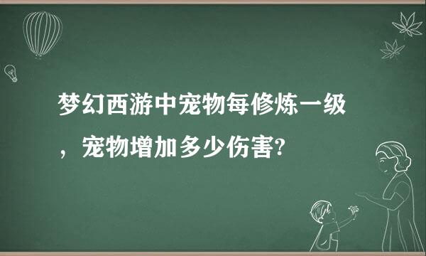 梦幻西游中宠物每修炼一级 ，宠物增加多少伤害?