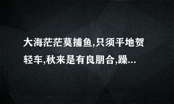 大海茫茫莫捕鱼,只须平地贺轻车,秋来是有良朋合,躁妄施为万事止。此签怎么解