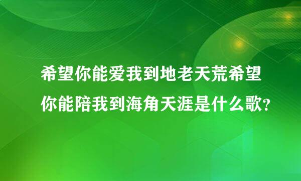 希望你能爱我到地老天荒希望你能陪我到海角天涯是什么歌？