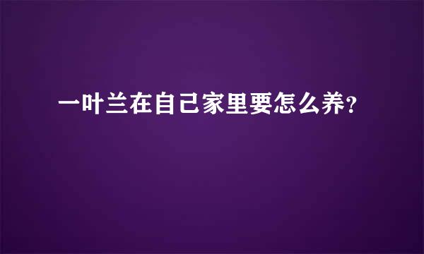 一叶兰在自己家里要怎么养？