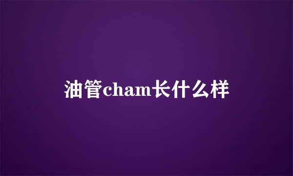 油管cham长什么样