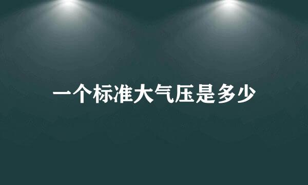 一个标准大气压是多少