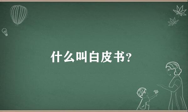 什么叫白皮书？