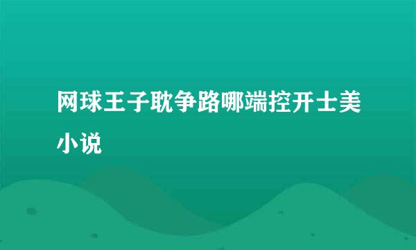 网球王子耽争路哪端控开士美小说