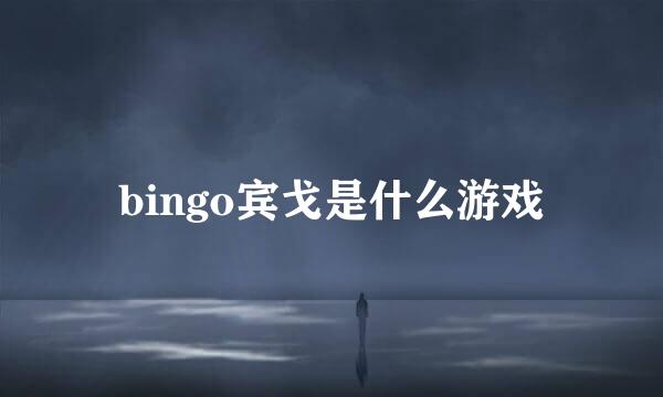 bingo宾戈是什么游戏