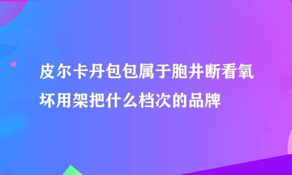 皮尔卡丹包包属于胞井断看氧坏用架把什么档次的品牌