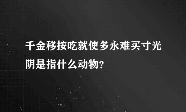 千金移按吃就使多永难买寸光阴是指什么动物？