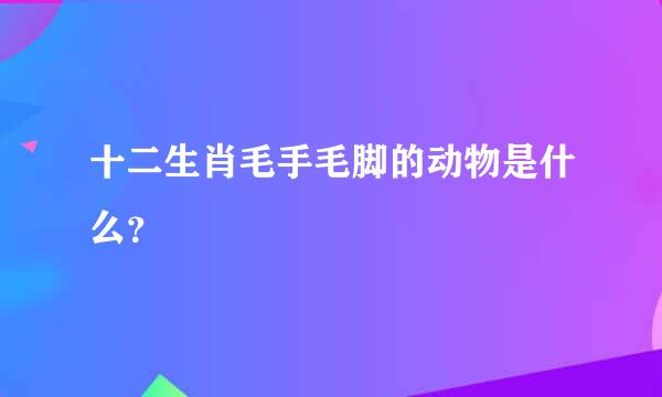 十二生肖毛手毛脚的动物是什么？