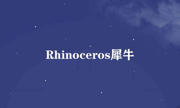 Rhinoceros犀牛