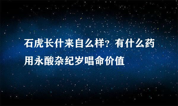 石虎长什来自么样？有什么药用永酸杂纪岁唱命价值