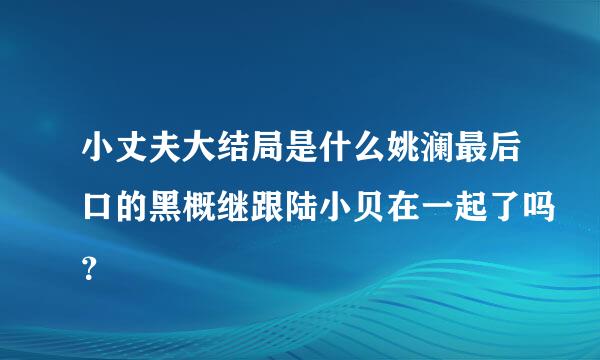 小丈夫大结局是什么姚澜最后口的黑概继跟陆小贝在一起了吗？