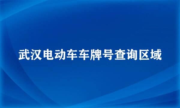 武汉电动车车牌号查询区域