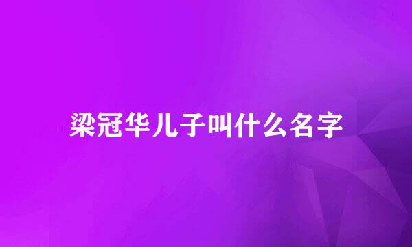 梁冠华儿子叫什么名字