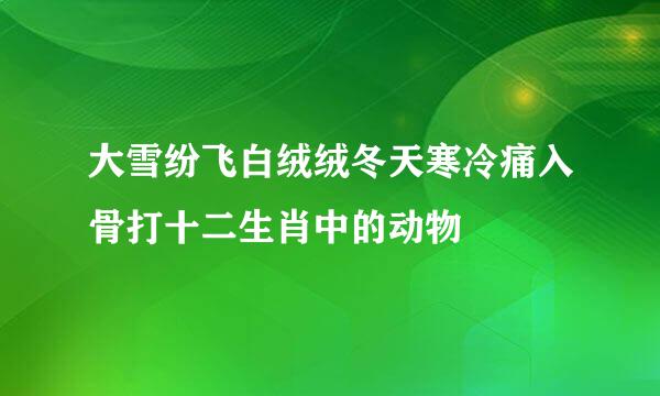 大雪纷飞白绒绒冬天寒冷痛入骨打十二生肖中的动物