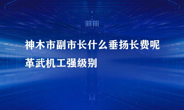 神木市副市长什么垂扬长费呢革武机工强级别