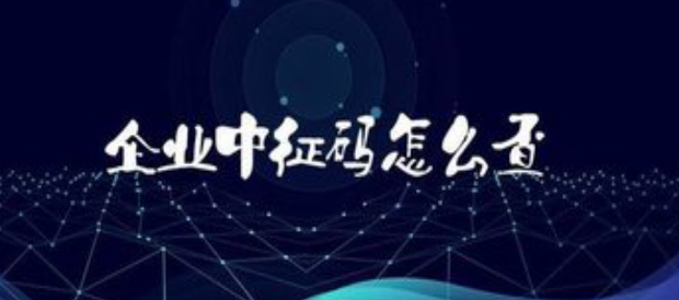 企业的帮百判铁中征码在哪里可以查到