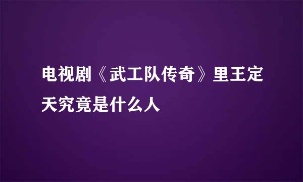 电视剧《武工队传奇》里王定天究竟是什么人