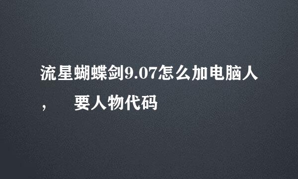 流星蝴蝶剑9.07怎么加电脑人， 要人物代码