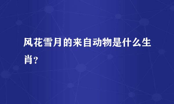 风花雪月的来自动物是什么生肖？