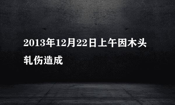 2013年12月22日上午因木头轧伤造成