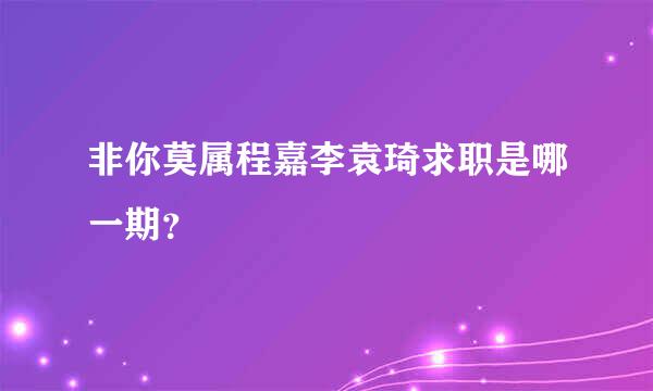 非你莫属程嘉李袁琦求职是哪一期？