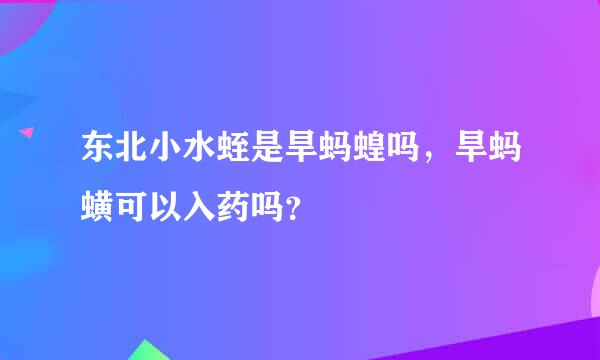 东北小水蛭是旱蚂蝗吗，旱蚂蟥可以入药吗？