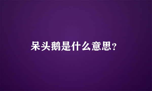 呆头鹅是什么意思？