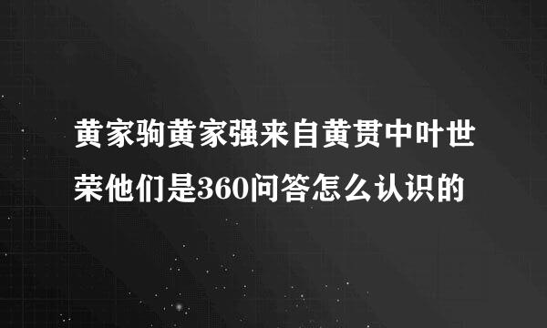 黄家驹黄家强来自黄贯中叶世荣他们是360问答怎么认识的