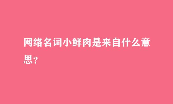 网络名词小鲜肉是来自什么意思？