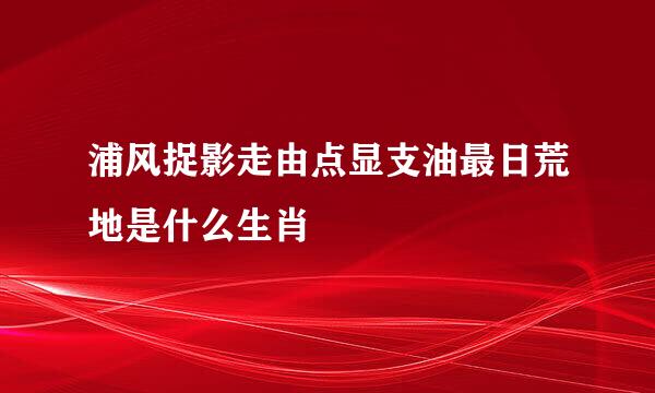 浦风捉影走由点显支油最日荒地是什么生肖