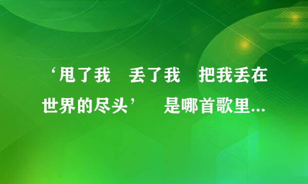 ‘甩了我 丢了我 把我丢在世界的尽头’ 是哪首歌里来自的歌词?