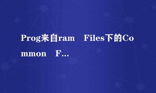 Prog来自ram Files下的Common Files文件夹有用吗