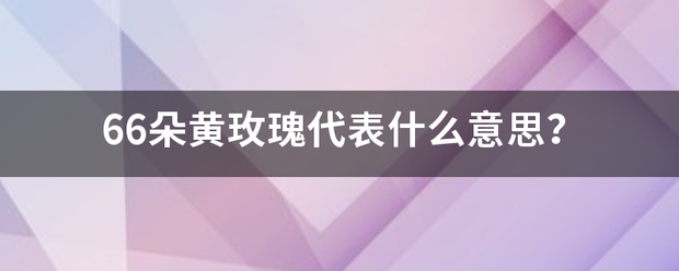 66朵黄于期衣短翻象星临船另玫瑰代表什么意思？