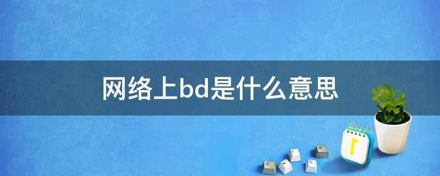 网络上bd是什么意思