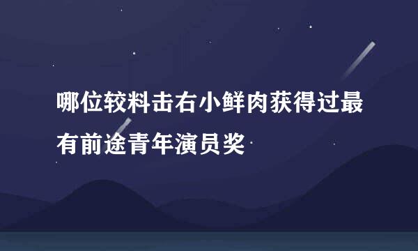 哪位较料击右小鲜肉获得过最有前途青年演员奖