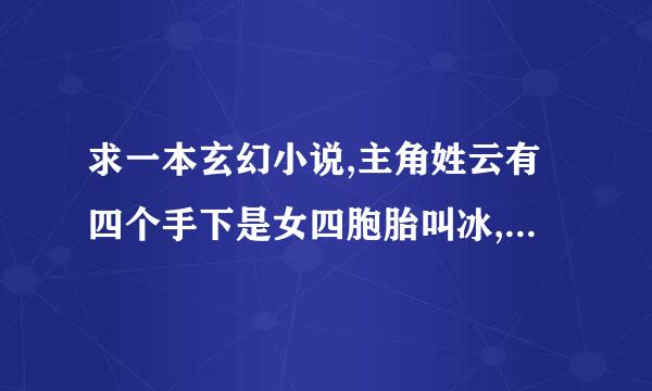 求一本玄幻小说,主角姓云有四个手下是女四胞胎叫冰,清,玉,洁