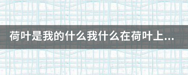 荷叶是我的什么我什么在荷叶上什么