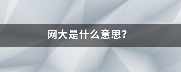 网大是什么意思？