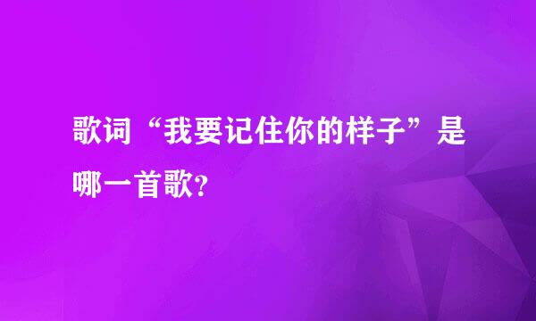 歌词“我要记住你的样子”是哪一首歌？