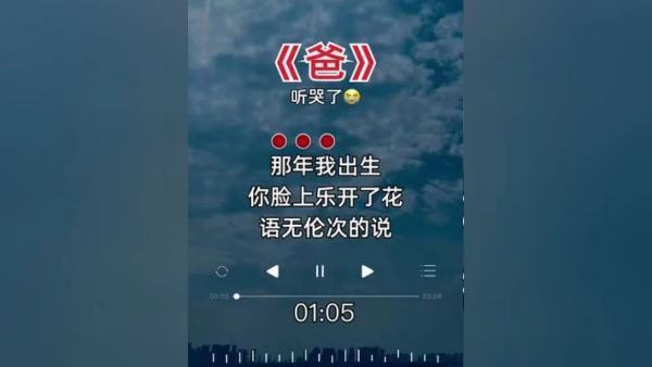 那来自年我出生你脸上乐开了花是什么歌