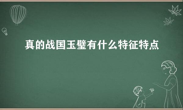 真的战国玉璧有什么特征特点