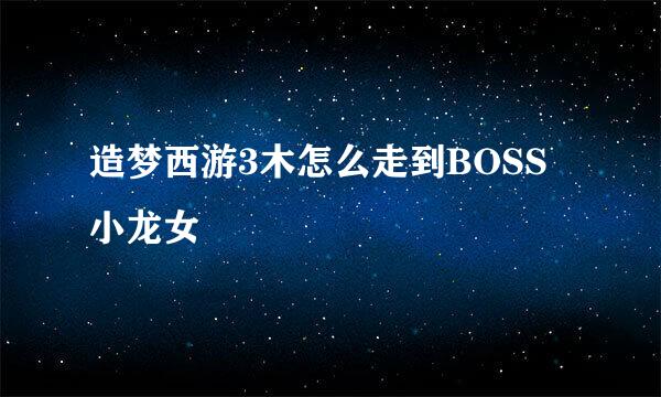 造梦西游3木怎么走到BOSS小龙女