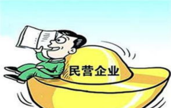 民营企业5678指的什么