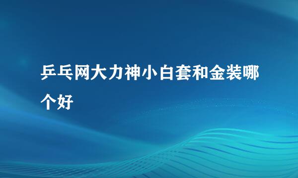 乒乓网大力神小白套和金装哪个好