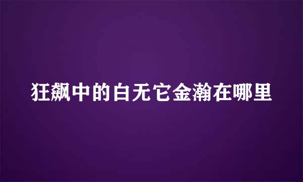 狂飙中的白无它金瀚在哪里