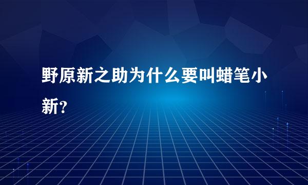 野原新之助为什么要叫蜡笔小新？