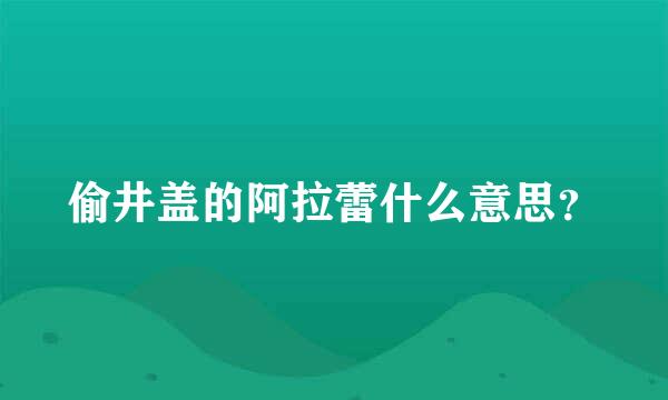 偷井盖的阿拉蕾什么意思？