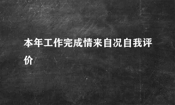 本年工作完成情来自况自我评价