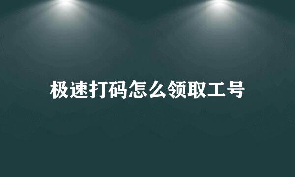 极速打码怎么领取工号