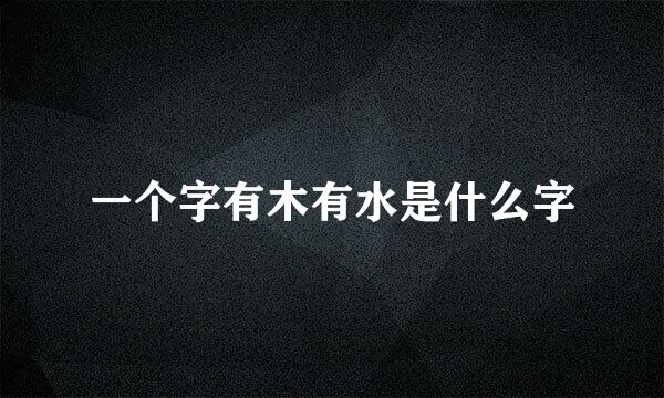 一个字有木有水是什么字